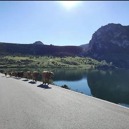 Vv58as Holiday home *