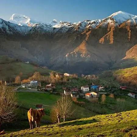 Vv58as Holiday home *