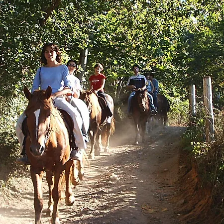 Holiday home Vv58as Mestas De Con