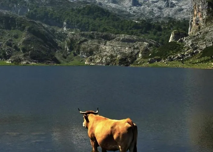 Vv58as Сasa de vacaciones